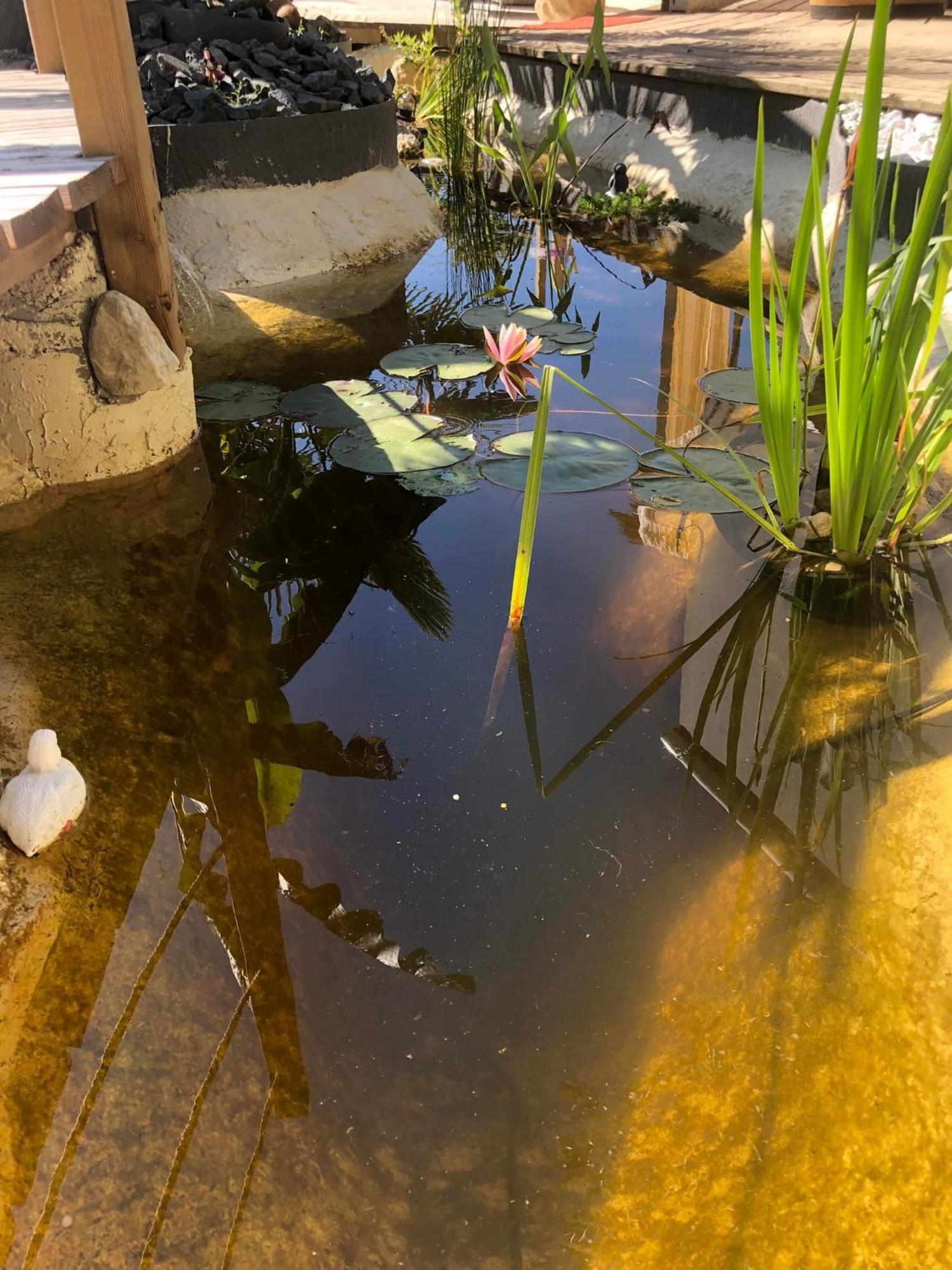 A La Marc'Quize Chambres D'Hotes, Petit Dejeuner Compris, Avec Piscine A Debordement En Exterieur, Bain Nordique A 38 Degres En Prestation Supplement Sur Reservation Horaire Anticipee 1 Place De Parking Gratuite Sur Place Mouxy Bagian luar foto