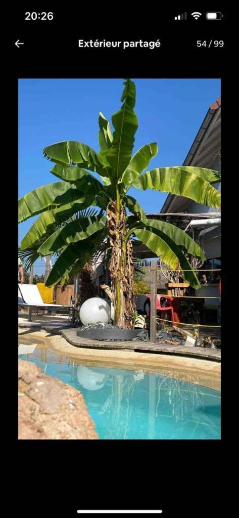 A La Marc'Quize Chambres D'Hotes, Petit Dejeuner Compris, Avec Piscine A Debordement En Exterieur, Bain Nordique A 38 Degres En Prestation Supplement Sur Reservation Horaire Anticipee 1 Place De Parking Gratuite Sur Place Mouxy Bagian luar foto